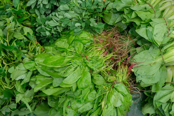 Legumes de folhas, também chamados de verduras folhosas, verduras para saladas, verduras vegetais ou simplesmente verduras, são folhas de plantas comidas como vegetais, para venda em um mercado em Territy Bazar, Kolkata, Bengala Ocidental, Índia.. - Foto, Imagem