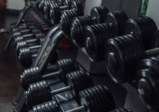 Haltères noires sur un rack gros plan dans la salle de gym - Photo, image