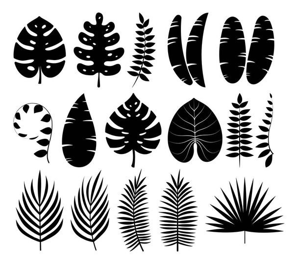 Colección de siluetas de hojas tropicales sobre fondo blanco, para sus elementos de diseño, vectores e ilustraciones. - Vector, imagen