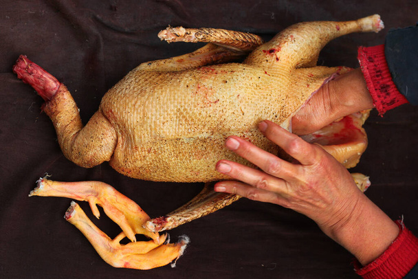 ガチョウの確認、鶏肉の処理の一部です。内臓や内臓の除去. - 写真・画像