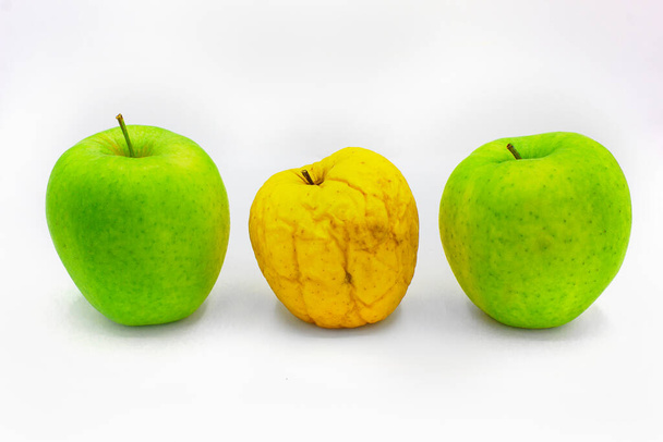 Terveitä ja mätiä omenoita. Trendikäs ruma ja kaunis orgaaninen hedelmä valkoisella taustalla. Vanha ja nuori käsite uusia ja vanhoja omenoita. Yksilöllisyys. Ei kuten kukaan muu ja erot käsite - Valokuva, kuva