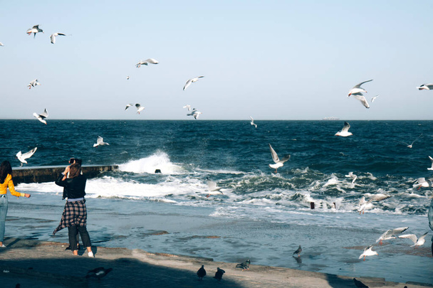Fırtınalı deniz, okyanus ve arka planda birçok martı gökyüzünde süzülür. İnsanlar sahildeki kuşları besler. Denizin Ufku - Fotoğraf, Görsel