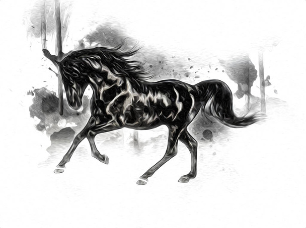 Colorful horse art illustration grunge painting - Фото, зображення