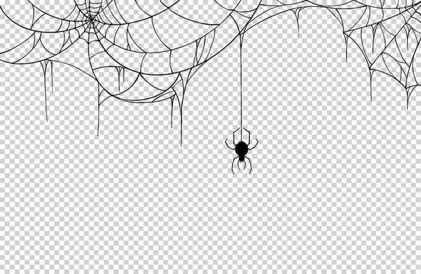 Spider  hanging from spiderwebs isolate on png or transparent  background, graphic resources, vector illustration. - Vector, Image