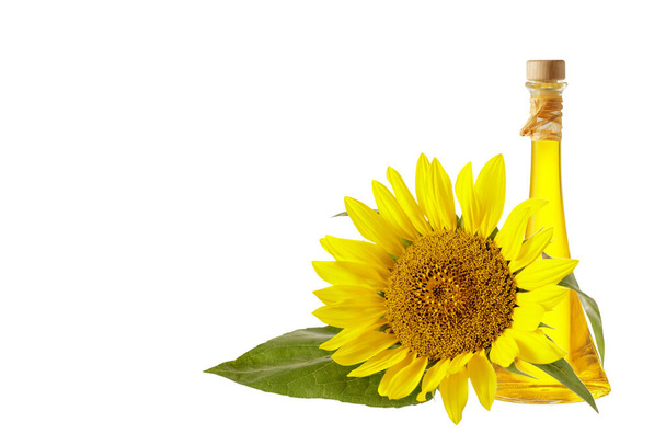 Sunflower flower closeup and bottle oil isolated on white background - Photo, Image