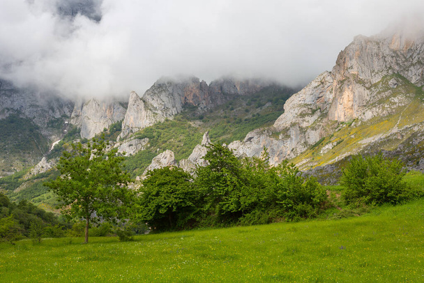 Näkymä Picos de Europan pelloille ja vuorille, Asturias, Espanja - Valokuva, kuva