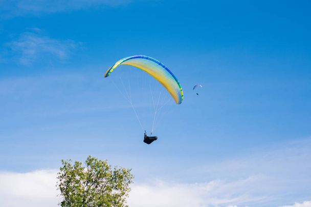 Mavi bir arka planda, bir ağacın yanında uçan renkli bir paraglider. Olağanüstü spor, hobi - Fotoğraf, Görsel