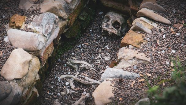 valódi csontváz halloween vízszintes háttér - Fotó, kép
