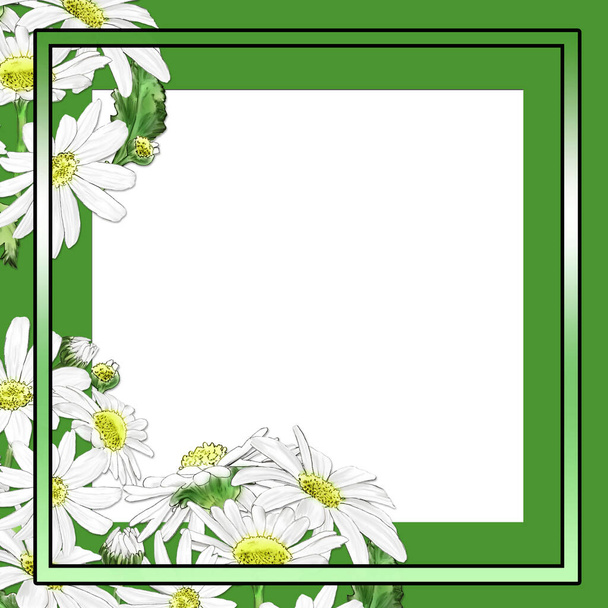 Creative composition with a close-up image of decorative frames. Frames consist of flowers, bouquets, petals, and geometric shapes. Abstraction. Illustration for printing on paper and fabric. - Foto, afbeelding