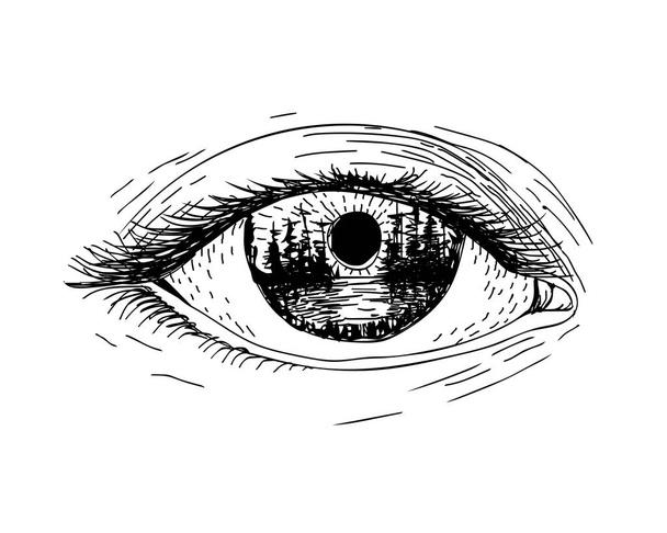 Глаз, отражающий пейзаж - Вектор,изображение