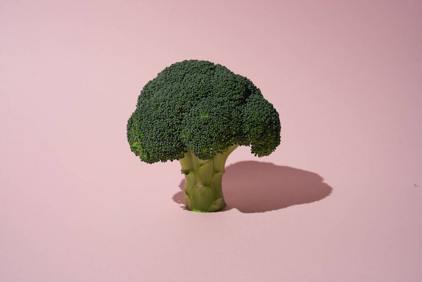 Green raw broccoli on pink background  - Фото, изображение