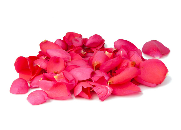 Pink petals of rose isolated on the white background - Photo, Image