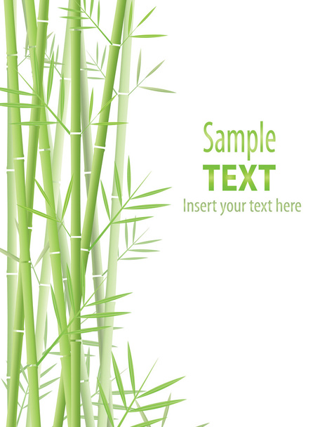 Fondo de bambú - Vector, Imagen