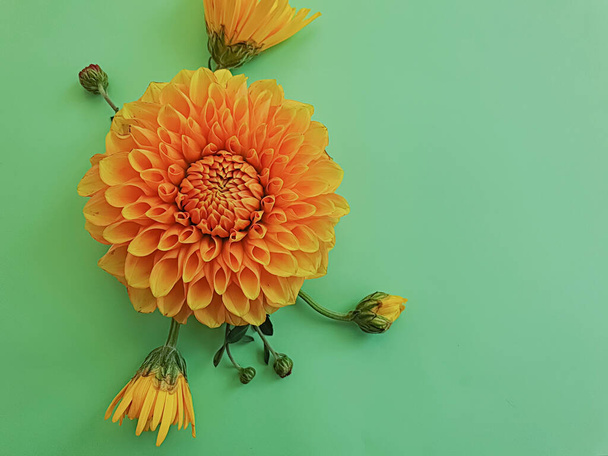 belles fleurs sur un cadre de fond coloré - Photo, image