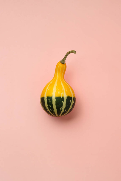 Yellow-green small striped pumpkin on a pink background, still life. Flat lay composition. - Фото, изображение