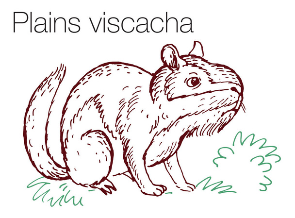 Llanuras viscacha ilustración vectorial dibujado a mano - Vector, Imagen