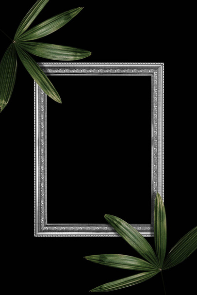Green leaves pattern with white frame for nature concept,tropical leaf tree textured background - Фото, зображення