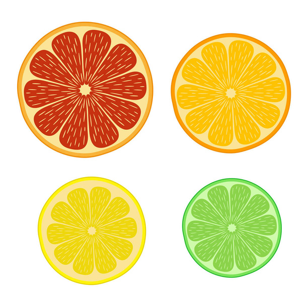 set of citrus fruits isolated on white background - Vecteur, image