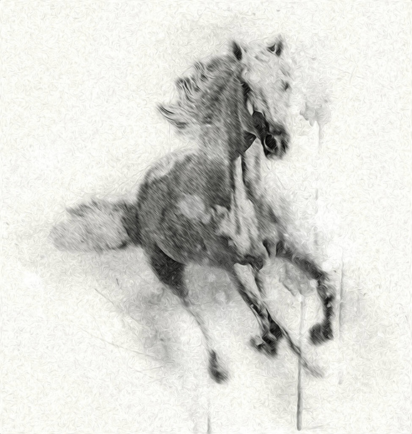 Színes ló művészet illusztráció grunge festmény - Fotó, kép