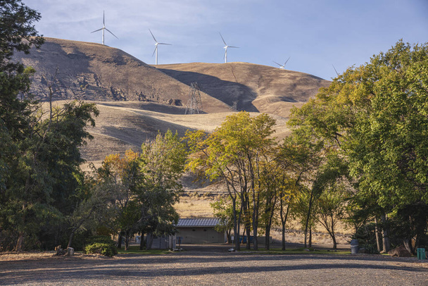 Maryhill muzeum drzew artystycznych i terenów krajobrazowych wzgórze turbiny wiatrowe stan Waszyngton. - Zdjęcie, obraz