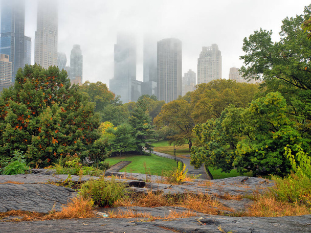 秋のニューヨーク市中央公園 - 写真・画像