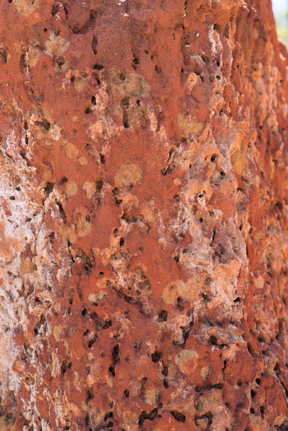 Κοντινό πλάνο των κορυφογραμμών Laterite karst ή σχηματισμών βράχων που σχηματίζονται από διάβρωση κοντά στο φαράγγι Sawpit στο Εθνικό Πάρκο Λευκών Ορέων, Queensland - Φωτογραφία, εικόνα
