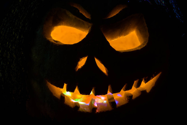 Funny pumpkin on Halloween holiday - Photo, Image