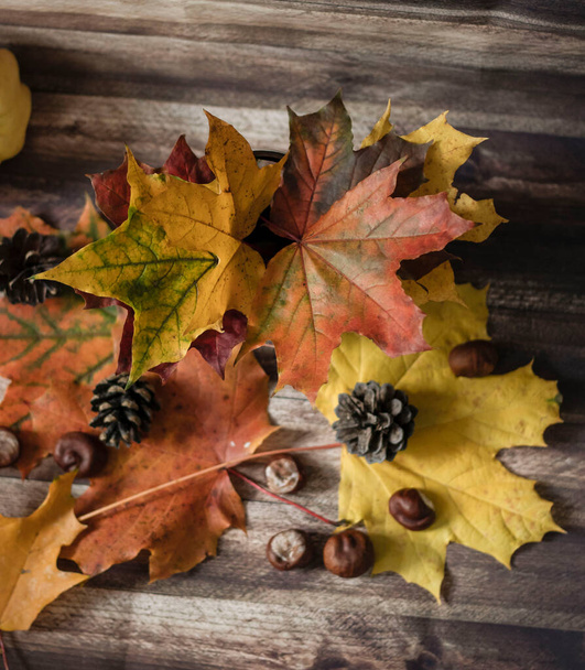 Φθινοπωρινή διακόσμηση με φύλλα, κώνους, φλυτζάνια, πουλόβερ - Φωτογραφία, εικόνα