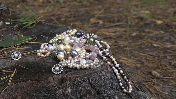 Une variété de magnifiques colliers de perles multicolores naturelles et des boucles d'oreilles luxueuses reposent magnifiquement sur un vieux tronc d'arbre dans la forêt.   - Photo, image
