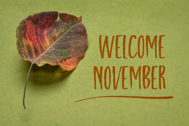 welcome November handwriting on handmade green rag paper witha dried leaf of Asian pear tree, season concept - Foto, afbeelding
