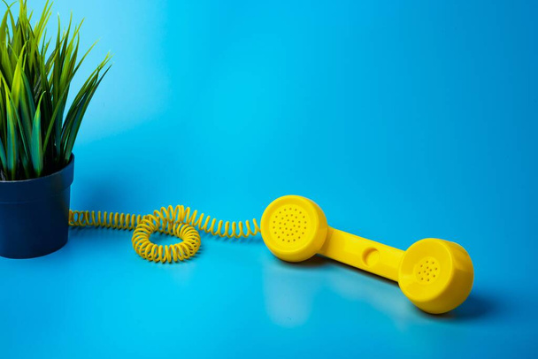 青い背景に黄色のレトロな電話受信機と観葉植物. - 写真・画像
