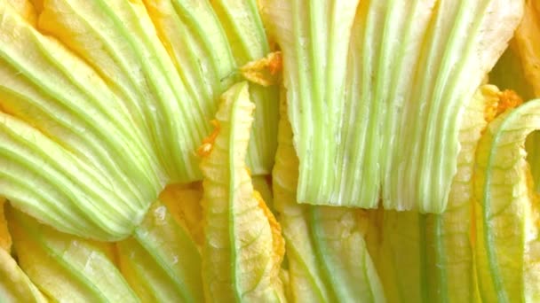 Detail der Zucchini oder Zucchini-Blüten pflanzliche Nahrung - Filmmaterial, Video