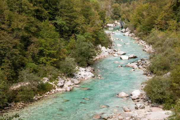 Emerald green Soca river finding its way through rocky forest in Slovenia - Foto, imagen