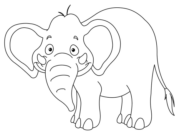 overzicht olifant - Vector, afbeelding