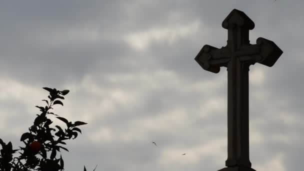 Cruz de piedra sobre una tumba en un cementerio un día nublado con pájaros volando en el cielo - Metraje, vídeo
