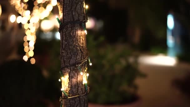 Включая рождественскую гирлянду на стволе елки снаружи. Новогоднее уличное освещение в парке. Праздничные огни. Маленькие лампочки рядом с Bokeh на заднем плане. - Кадры, видео