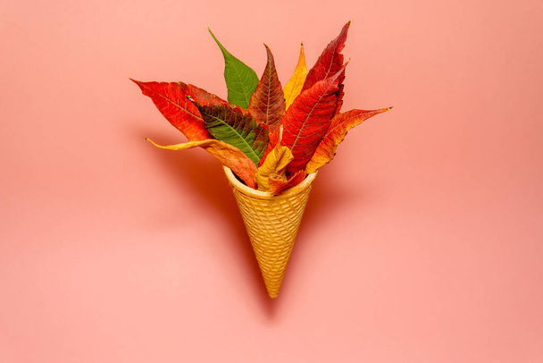 Cône de crème glacée flottant avec feuilles d'automne - Photo, image