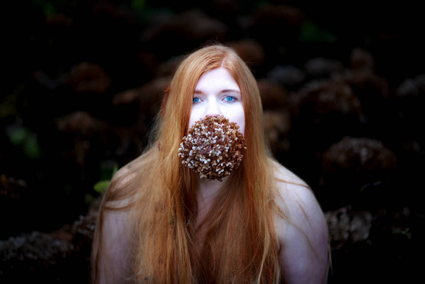 Portrait of a young lovely sexy redheaded woman with free shoulders, and long red hair covering the breasts, with a dried-up hydrangea Annabelle blossom in her mouth, copy space - Photo, Image