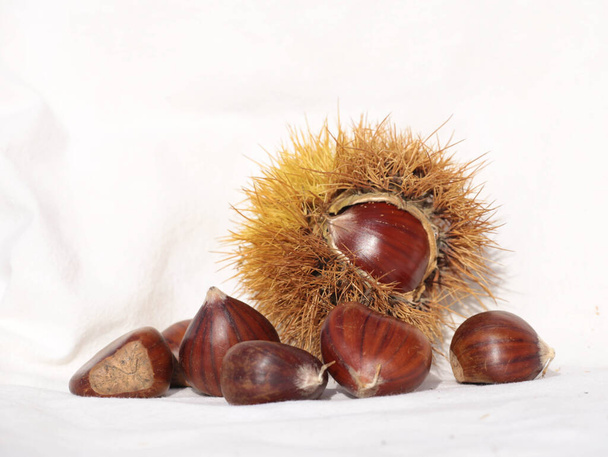 chestnuts two isolated for background - Photo, Image