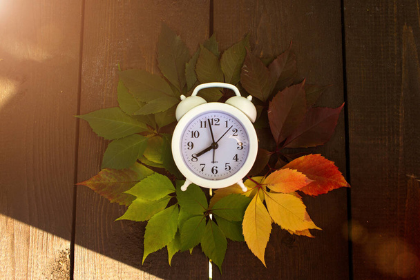 Podzimní listy a bílé hodiny se sluncem, Podzimní pozadí, podzim barevné listy přechod, kopírovat prostor - Fotografie, Obrázek