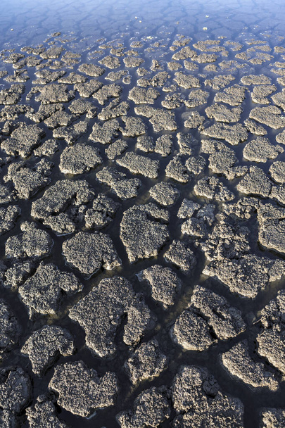 Part of a huge area of dried land suffering from drought in cracks.	 - Φωτογραφία, εικόνα