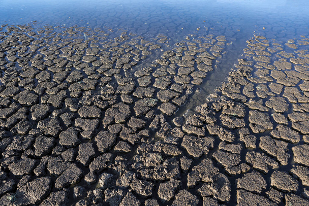 Part of a huge area of dried land suffering from drought in cracks.	 - Fotoğraf, Görsel