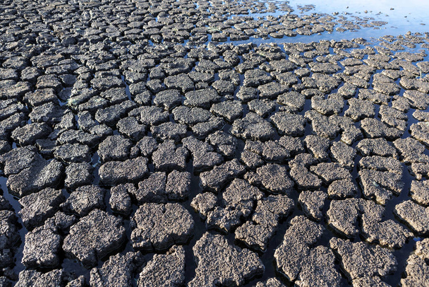 Part of a huge area of dried land suffering from drought in cracks.	 - Fotografie, Obrázek