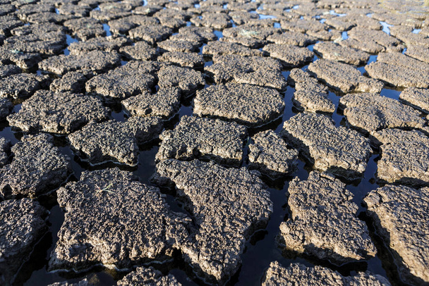 Part of a huge area of dried land suffering from drought in cracks.	 - Foto, Bild