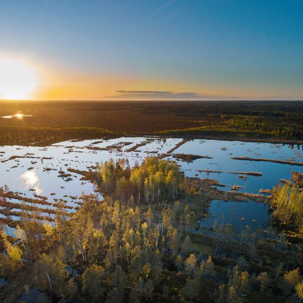Aerial view of swamp texture and pattern in national park of Kemeri, during sunset. - Valokuva, kuva