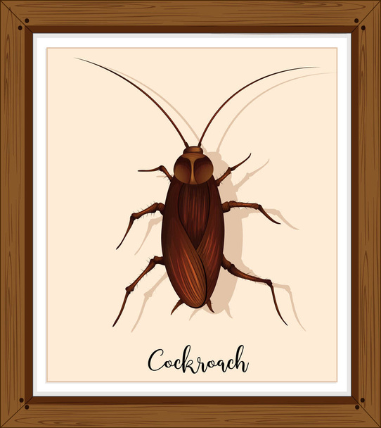 Cockroach on wooden frame illustration - Vector, Image