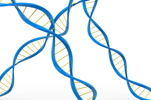 DNA-structuur - Foto, afbeelding