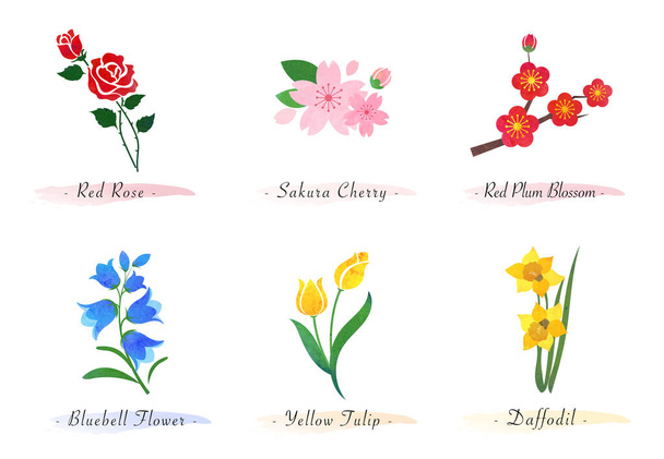 Akwarela botaniczny ogród natura roślina kwiat róża sakura wiśnia śliwka kwiat niebieski dzwon tulipan żonkil - Wektor, obraz