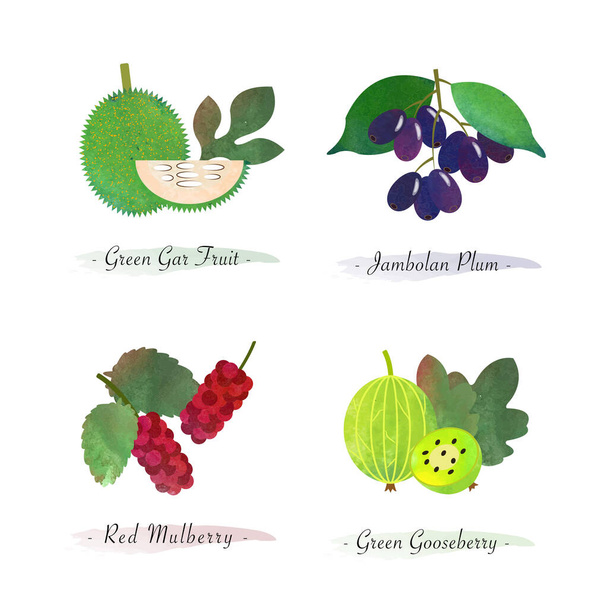 Bio Natur gesunde Nahrung Obst grün gar Früchte Marmelade Pflaume rot Maulbeere grün Stachelbeere - Vektor, Bild