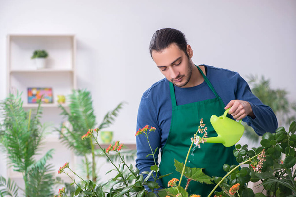 Jovem jardineiro masculino com plantas dentro de casa - Foto, Imagem